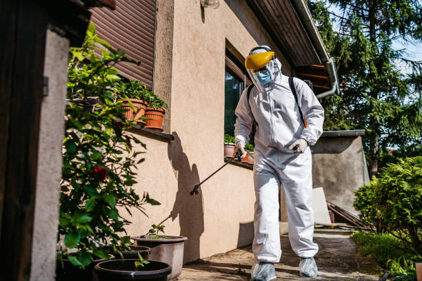 Best Wasp Removal Services  in Three Rivers, MI