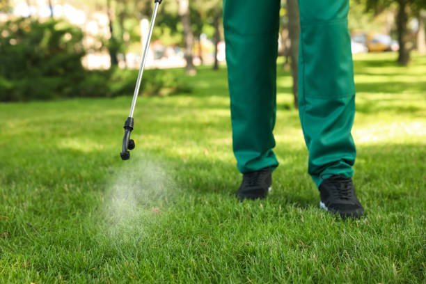 Best Pest Control for Restaurants  in Three Rivers, MI